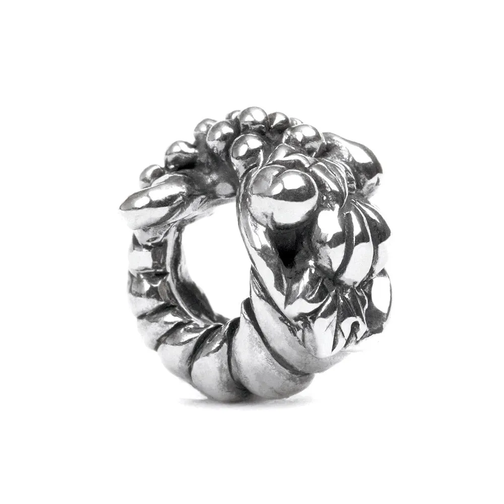 Cornucopia, Silver