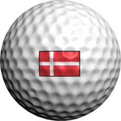 Danish Flag