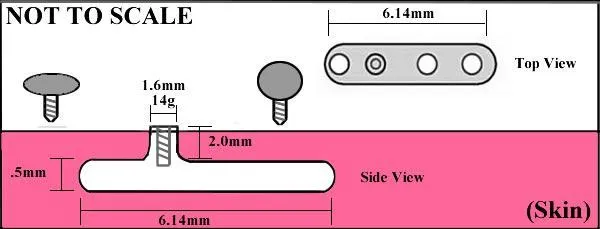 Tilum 14g - 12g Internally Threaded 3mm Titanium Ball - Price Per 1